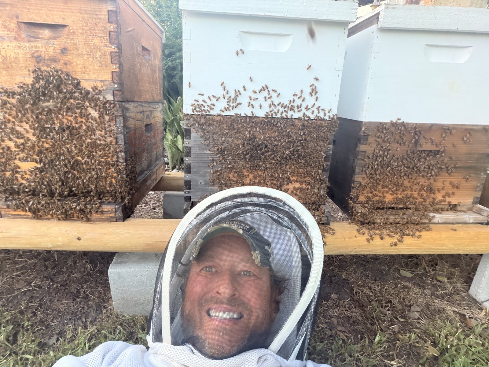Dean in a bee veil, with honey bees covering the hives behind him