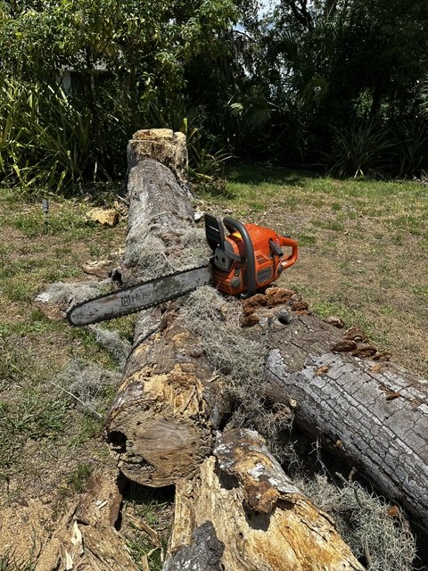A chainsaw resting on a felled tree at Rustin Farms